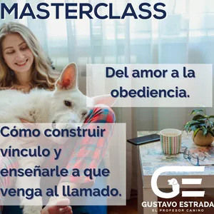 Imagen de portada para Curso online Masterclass: vínculo y llamado. 