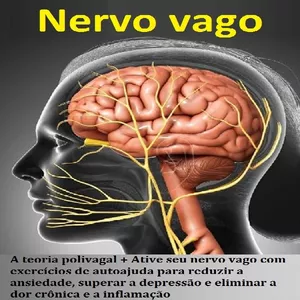 Imagem de capa para o Ebook Nervo vago 2 livros em 1: A teoria polivagal + Ative seu nervo vago com exercícios de autoajuda para reduzir a ansiedade, superar a depressão e eliminar a dor crônica e a inflamação