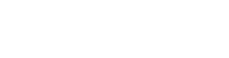 Next Leadership logo