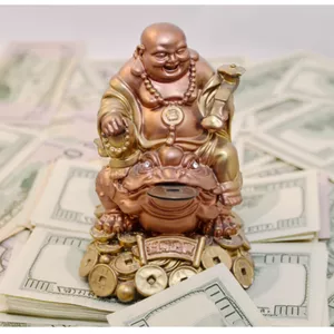 Imagen de portada para Curso online Los Gastos Comunes No se Pagan con Prana 