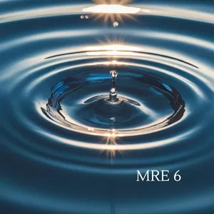 Imagem de capa para o Serviço online Programa MRE 6 - Método de Reorganização Energética