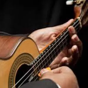 Imagem de capa para o Ebook Cavaquinho para churrasco 