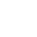 Savage Online logo