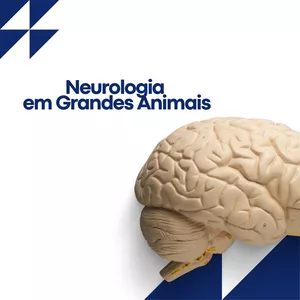 Imagem de capa para o Curso online Neurologia em Grandes Animais