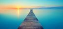 Happy Healthy Calm