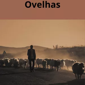 Imagem de capa para o Ebook LIvros Bíblicos  E-Books