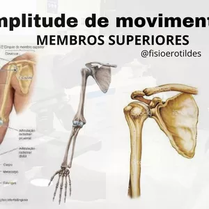 Imagem de capa para o Ebook MEMBROS SUPERIORES e INFERIORES (Amplitude de movimento)