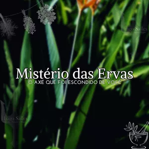 Imagem de Mistério das Ervas - O Axé que foi escondido de você criado por Hiago Salles na hotmart