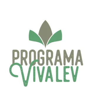 Imagem de capa para o Curso online Programa Viva LEV