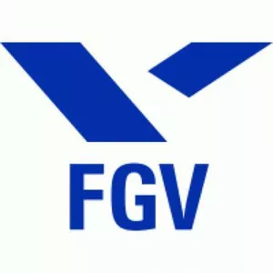 Imagem de capa para o Curso online PORTUGUÊS P/ BANCA FGV (100 questões comentadas em vídeo)