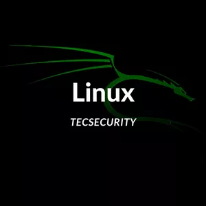 Imagem de capa para o Ebook Linux Um Guia Prático para Iniciantes