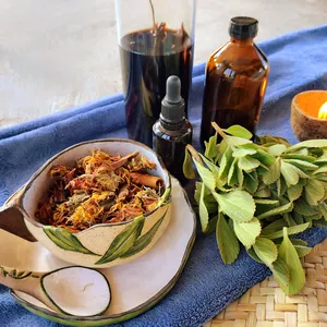 Capacitação em Herbalismo