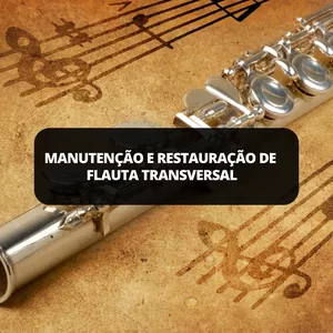 Imagem do curso Mestre Luthier - Flauta Transversal