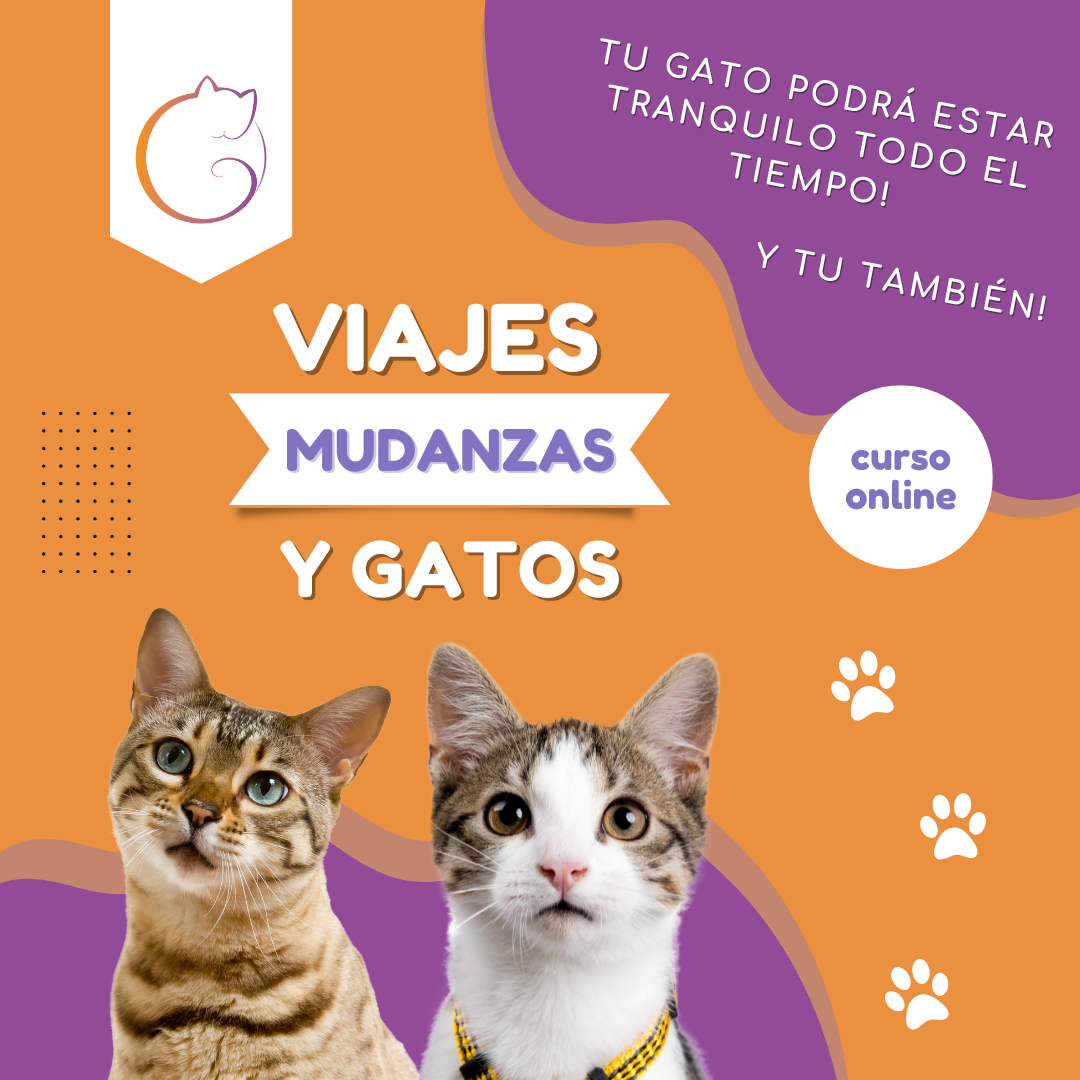 Portada Viajes y Mudanzas Mascotas