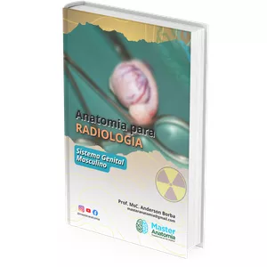 Imagem de capa para o Ebook Anatomia para Radiologia: Sistema Genital Masculino