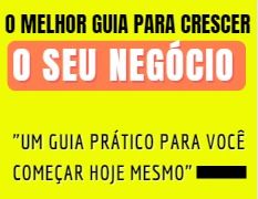o melhor guia para crescer o seu negocio 