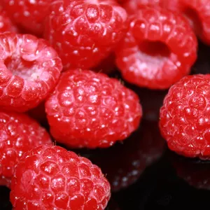 Cover image for Online course Bright raspberries