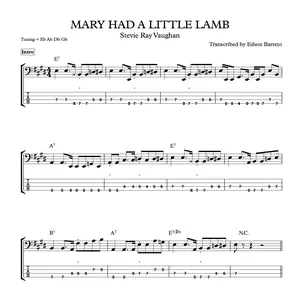 Cover image for Online course MARY HAD A LITTLE LAMB (Stevie Ray Vaughan) Bass Transcription, Score &amp; Tab Lesson