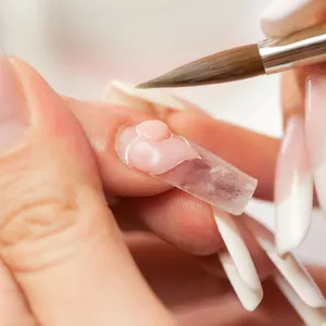 Imagem de capa para o Ebook Unhas de Porcelana / Modulo 2