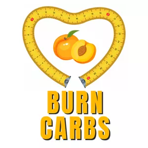 Imagem de Burn Carbs: 21 dias de dieta Low Carb criado por Faria Digital na hotmart