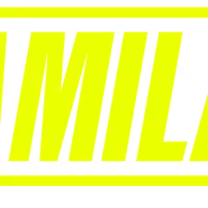 Imagem de capa para o Curso online Plataforma Camilão Team [RECS]