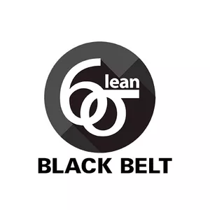 Imagen de portada para Curso online LEAN SIX SIGMA BLACK BELT