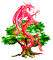 DragonOak Magical Courses