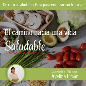 Imagen de portada para Ebook De cero a saludable: Guía para empezar sin fracasar.