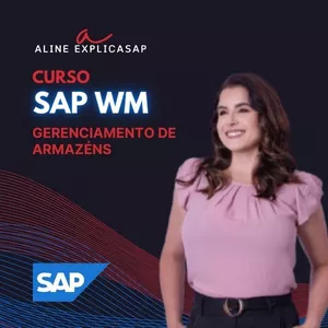 Imagem de capa para o Curso online Guia SAP WM - Gerenciamento de Armazém