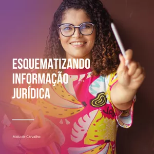 Imagem de capa para o Ebook Esquematizando Informação Jurídica 