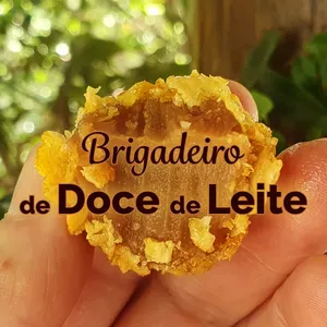Imagem de capa para o Curso online Brigadeiro de Doce de Leite Vegano