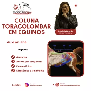Imagem do curso AULÃO COLUNA TORACOLOMBAR EM EQUINOS - VET - Medica Veterinária Dra. Gabriela Guenka