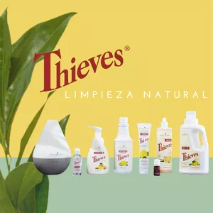 Imagen de portada para Curso online Limpieza Natural con PSK Thieves