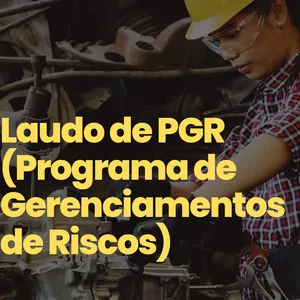 Imagem de capa para o Ebook Segurança do Trabalho Modelo de PGR ( Programa de Gerenciamento de Riscos