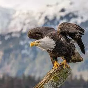 Imagem de capa para o Curso online Planejamento Estratégico Pessoal - PEP