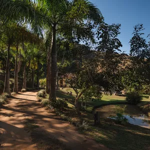 Imagem do curso INSTAGRAM NA PRATICA +BÔNUS 