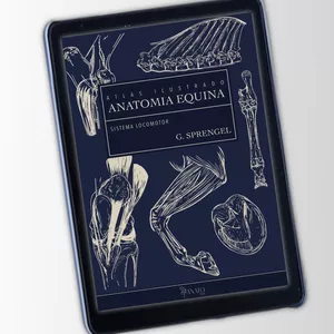 Imagem de capa para o Ebook Coleção Atlas Ilustrado Anatomia Equina - Sistema Locomotor