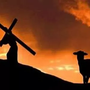 Imagem de capa para o Ebook CAMPANHA "O Cordeiro Sacrificado"