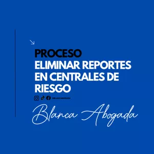 Imagen de portada para Curso online Proceso para eliminar reportes en Centrales de Riesgo