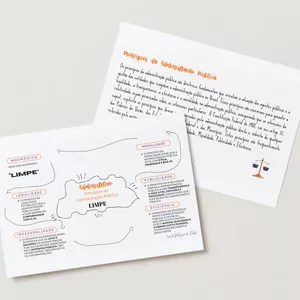 Imagem de capa para o Ebook Mapa mental - Administrativo - Princípios da Administração Pública 