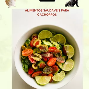Imagem de capa para o Ebook Alimentos saúdaveis para Cachorros