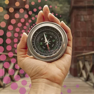 Imagem de capa para o Curso online ROTA DA PROSPERIDADE EM 15 PASSOS - O caminho para sua máxima potência