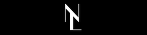 NXT LVL Recruiting & Development logo