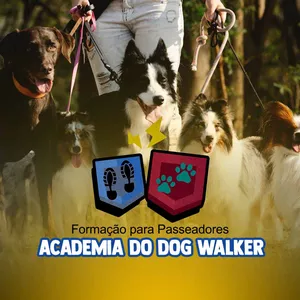 Imagem de capa para o Curso online Academia do Dog Walker