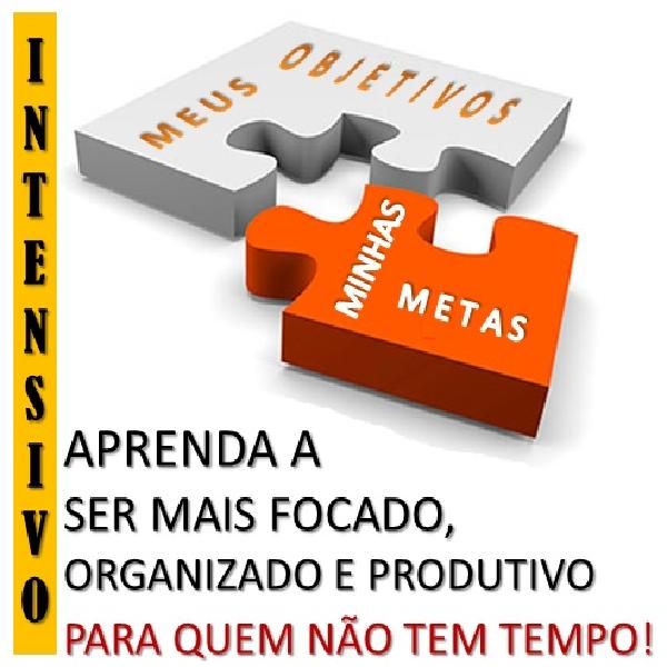 Imagem do curso CURSO ONLINE INTENSIVO: "APRENDA A SER MAIS FOCADO, ORGANIZADO E PRODUTIVO"