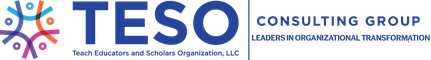 Transformative Equitable Systems and Outcomes (TESO) Institute