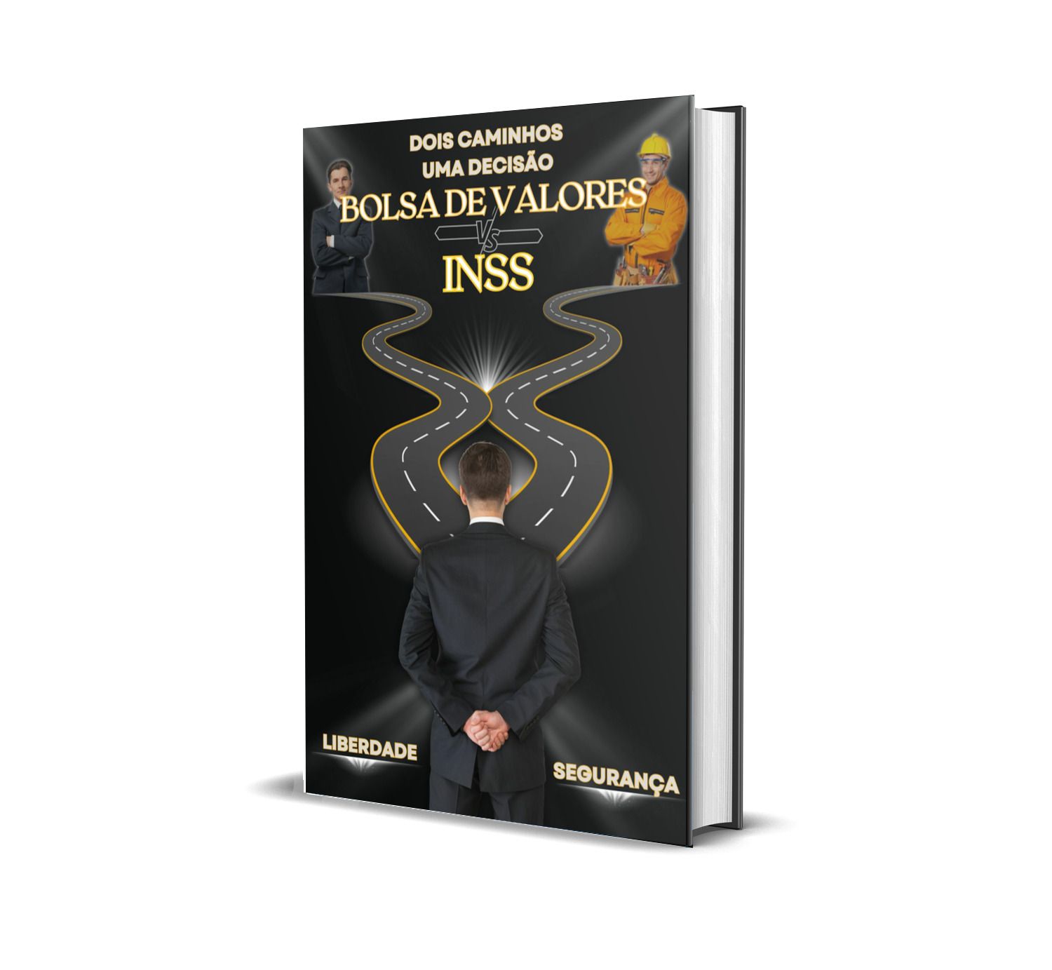 Imagem do curso "Bolsa de Valores vs. INSS". Dois Caminhos uma Decisão.