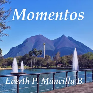 Imagen de portada para Ebook Momentos - Un libro de poemas (Life plus +)