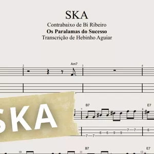 Imagem de capa para o Ebook SKA - Os Paralamas do Sucesso: Transcrição p/ Contrabaixo c/ Tablatura + Partitura + Cifra. Arranjo de Bi Ribeiro.