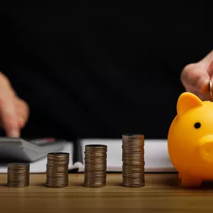 Imagem de capa para o Curso online Curso de Finanças e Investimento